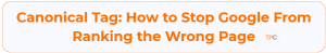 Canonical Tag
