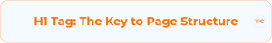 H1 Tag