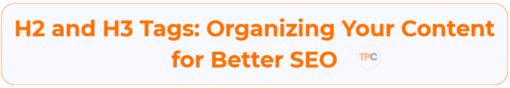 H2 and H3 Tags