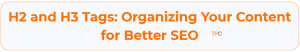 H2 and H3 Tags
